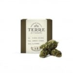 Terre Riserva Opulenta Hemp Flower 3+3gr