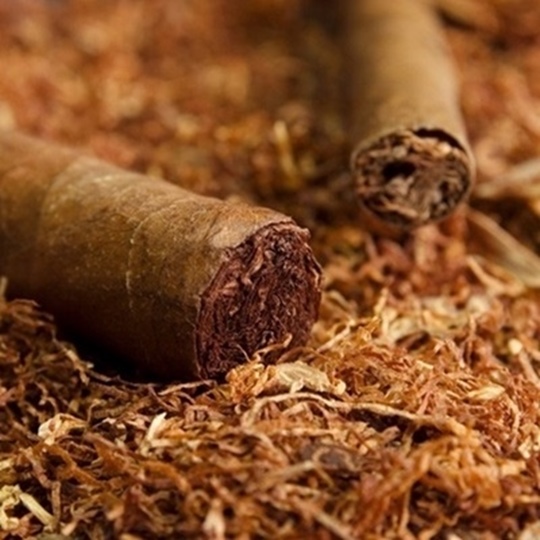 0003225_tpa-cubano-type-10ml.jpeg TPA Cubano Type 10ml - Image 1