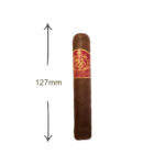 Drachen Robusto