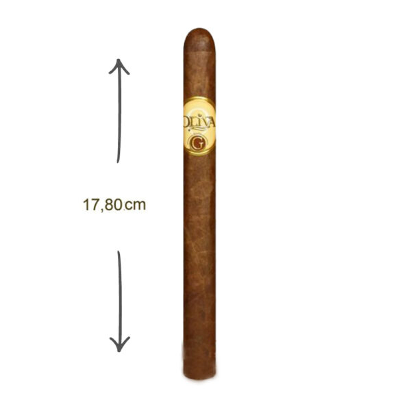 Oliva Serie G Churchill Round