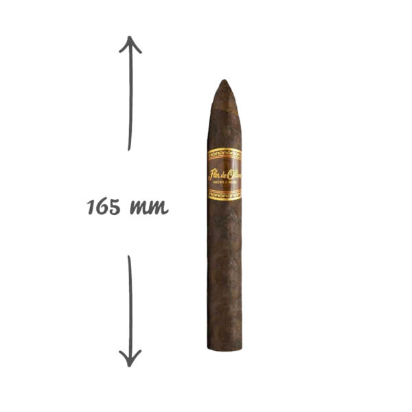Flor de Olive Maduro Torbedo