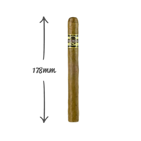 Quorum Shade Churchill