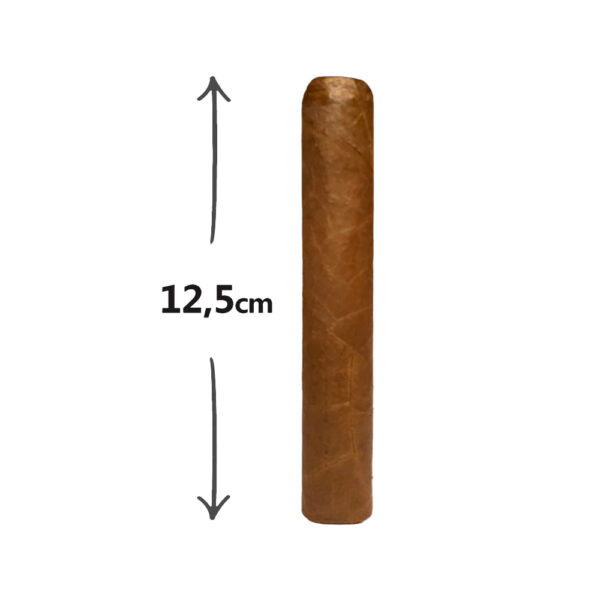 Dominicos Robusto