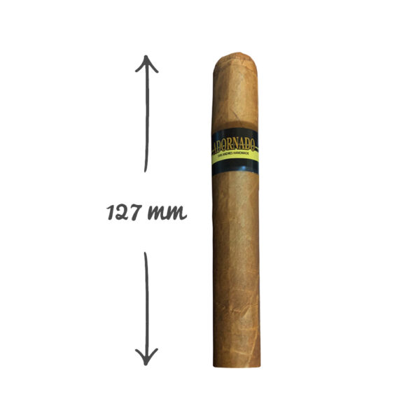 Adornado Robusto