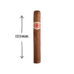 Romeo y Julieta Mille Fleurs