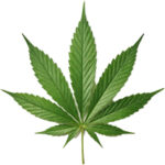 Προϊόντα CBD